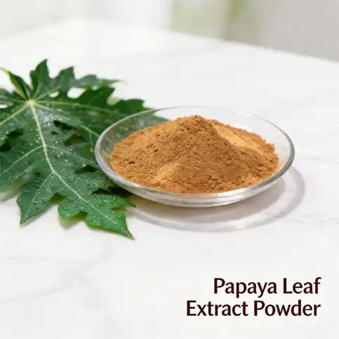 Can papaya leaf extract powder support digestion and gut health?